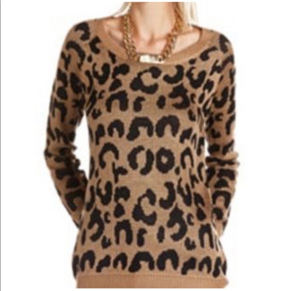 Charlotte Russe Sweaters - Leopard Print Sweater